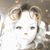Crystal Koppen Blinsmon's profile image