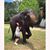 Brittney Whorl's profile image