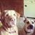 Barb Schaffer Gregus's profile image