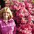Cheryl Carpenter Vergot's profile image