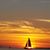 Paula Powers's profile image
