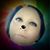Silvia Prado's profile image