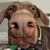 Jeff Danger Brown's profile image