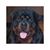 Michele Hobgood's profile image