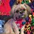 Wendy Mathews's profile image