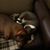 Anneliese Langdon's profile image