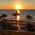Joan Lebow Davis's profile image
