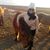 Ella Leatham Deaver's profile image