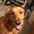 Tera Eiler Farris's profile image