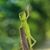 Brian Slaugh's profile image