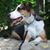 Christine Clavette Gagne's profile image