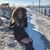 Bailey Townsend's profile image