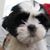 Charene Moy's profile image
