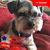 Mary Bredlau's profile image