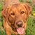 Trisha Jean Spinler's profile image