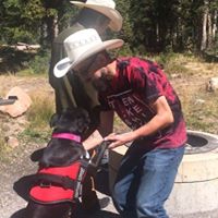 Daniel Nielson's profile image