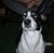 Aterri Abbott's profile image