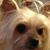 Tammie Whitworth-Baker's profile image