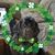 Carol Stohlgren's profile image