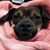 Arturo James Baca's profile image