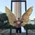 Gus Gardea's profile image