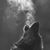 Bonnie DeLorme's profile image