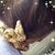 Nicole J Roberts's profile image
