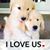 Shirley Drost's profile image