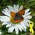 Brenda Bruce's profile image