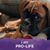 Mary Maynard Dionise's profile image