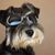 Nancy Christensen Littlefield's profile image
