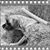 Janie Faris's profile image