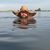 Steven Thomas Peeples's profile image