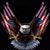 Kip Stephens's profile image