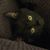 Teresa Payne Gocha's profile image