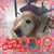 Cindi VanDenburgh's profile image