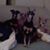 Sharon Franklin Gronborg's profile image