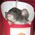 Rhonda Blackman's profile image
