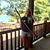 Anna Elizabeth Wetzel's profile image