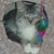 Sharon Garcia's profile image