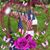 Linda Dowell's profile image