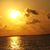 Bridget Warren Larvenz's profile image