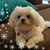 Rebecca Tallent's profile image