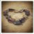 Dana Pedder Boehm's profile image
