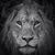 Mike Pepe's profile image
