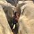 Sol Bui's profile image