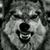 Daniel Lopez's profile image