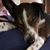 Paulette Skorupa Renfrow's profile image