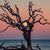 Bob Deeter's profile image