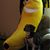 Barbara J. Wood's profile image